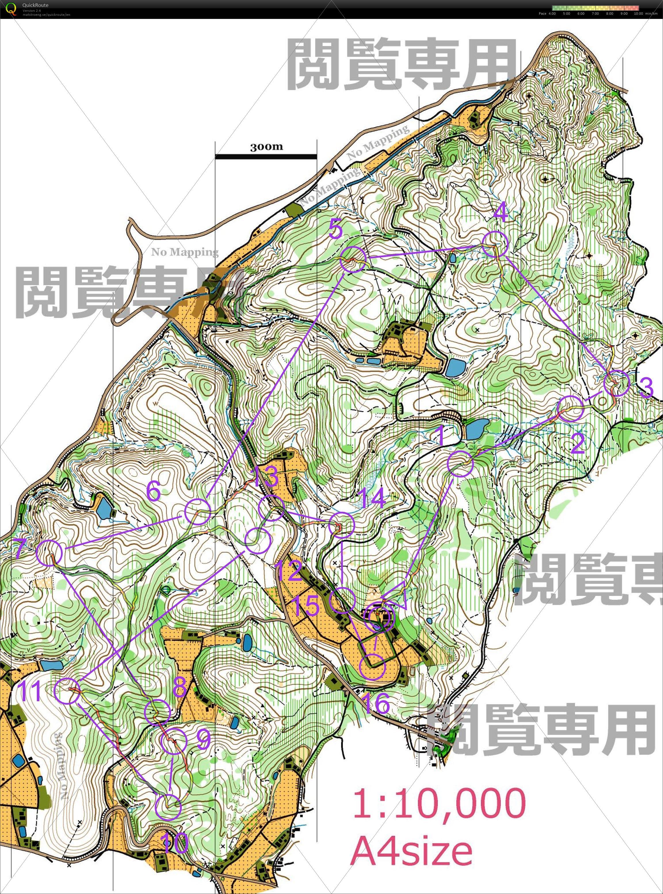 2021年度全日本リレー (2022/06/12)