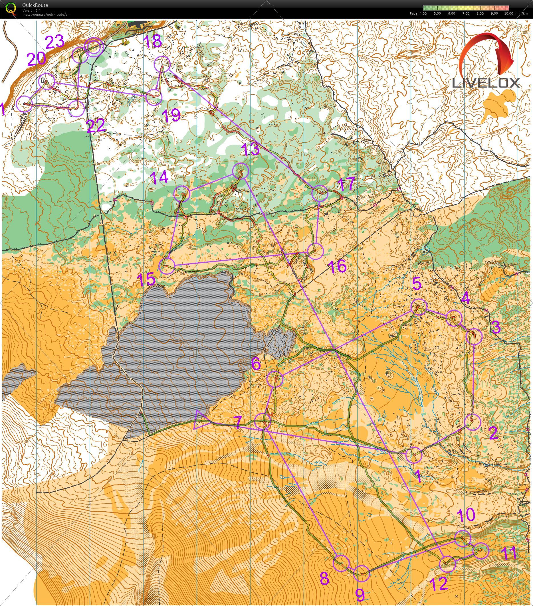 第7回ジオパーク伊豆大島オリエンテーリング大会 (2022/11/27)