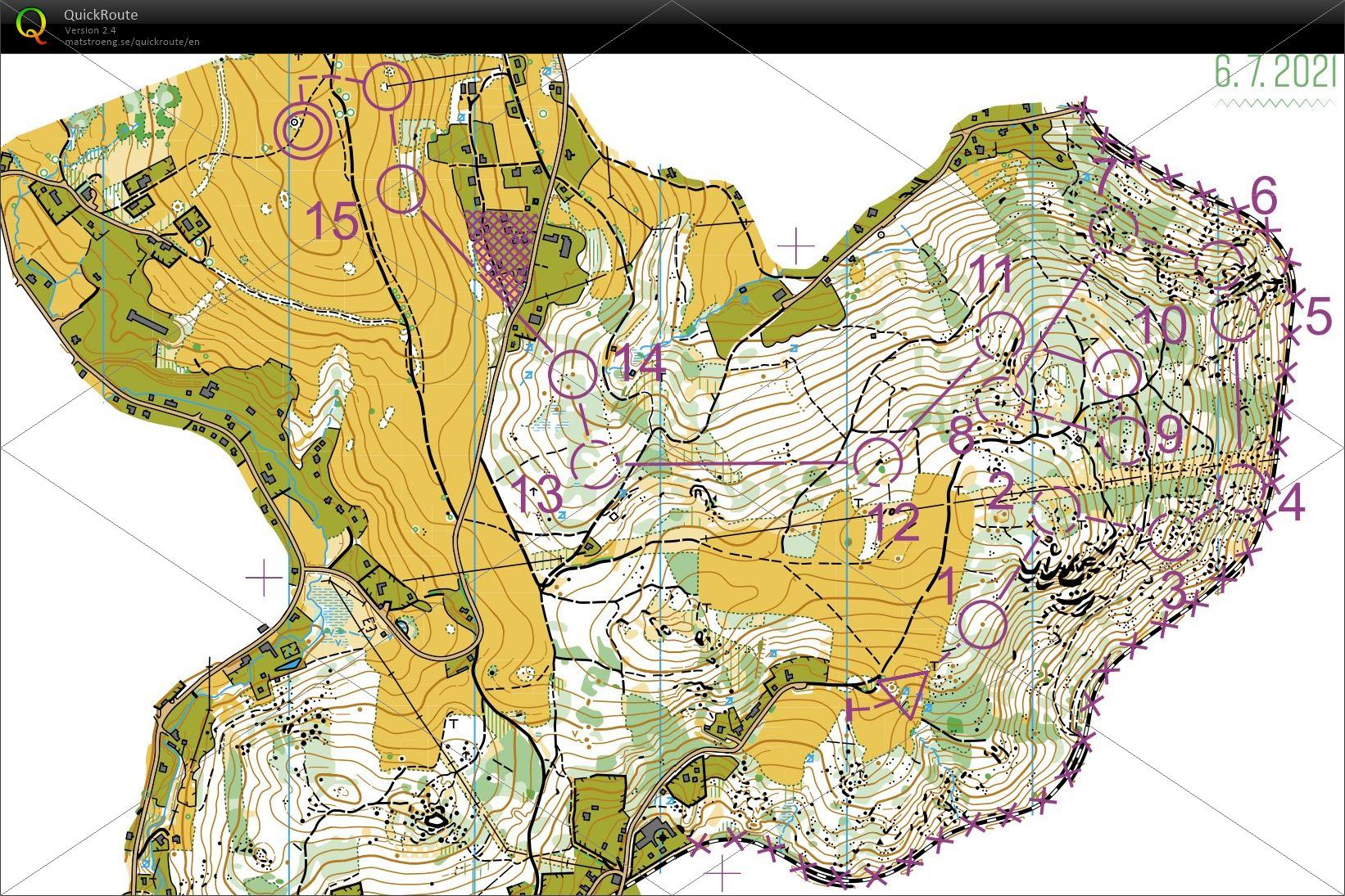 WOC2021middleQ (2021/07/06)