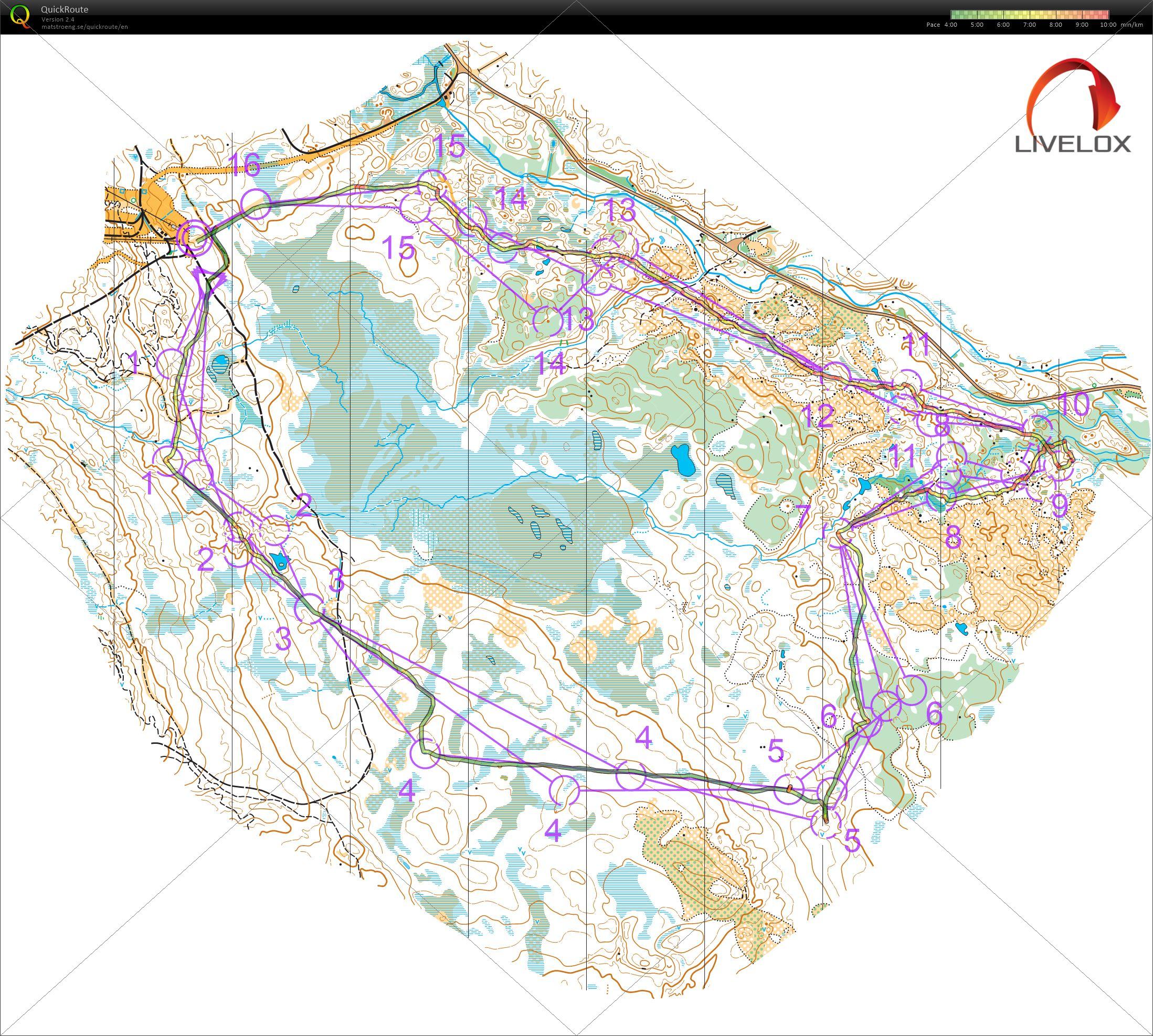 World Cup Round1 Relay (2025/06/22)