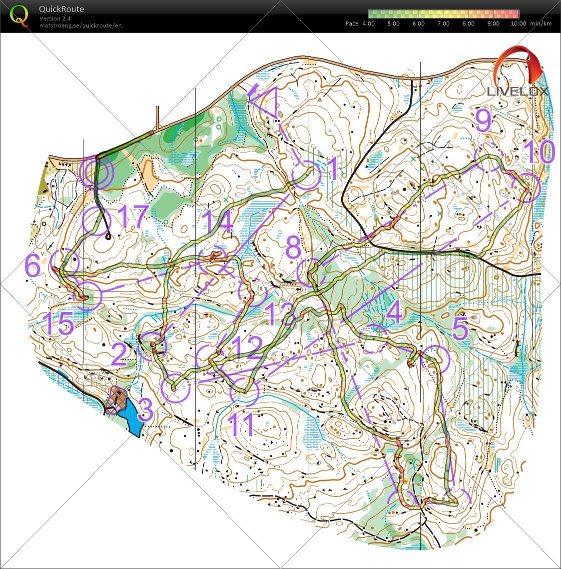 20250626 (2025/06/26)