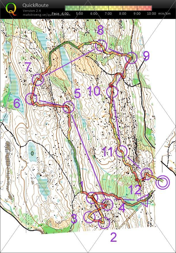 20250702 (2025/07/02)